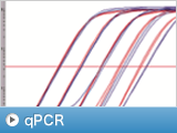 qPCR